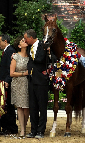 6th Annual Arabian Breeders World Cup - Finals Day