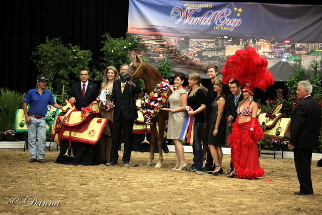 6th Annual Arabian Breeders World Cup - Finals Day