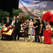 6th Annual Arabian Breeders World Cup - Finals Day