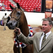 6th Annual Arabian Breeders World Cup - Finals Day