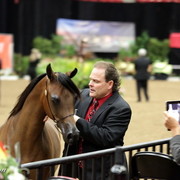 6th Annual Arabian Breeders World Cup - Finals Day