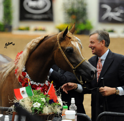 2012 Arabian Breeders World Cup
