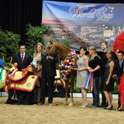 2012 Arabian Breeders World Cup