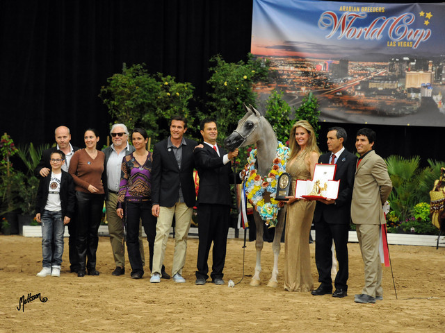 2012 Arabian Breeders World Cup