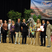 2012 Arabian Breeders World Cup