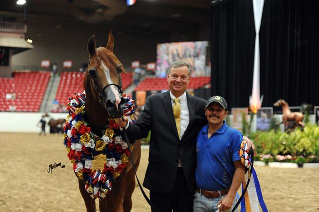 2012 Arabian Breeders World Cup
