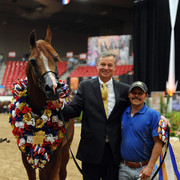 2012 Arabian Breeders World Cup