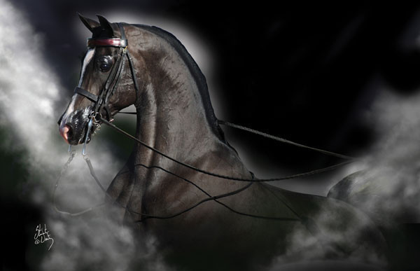 Hucks Connection V – Quality Without Question!