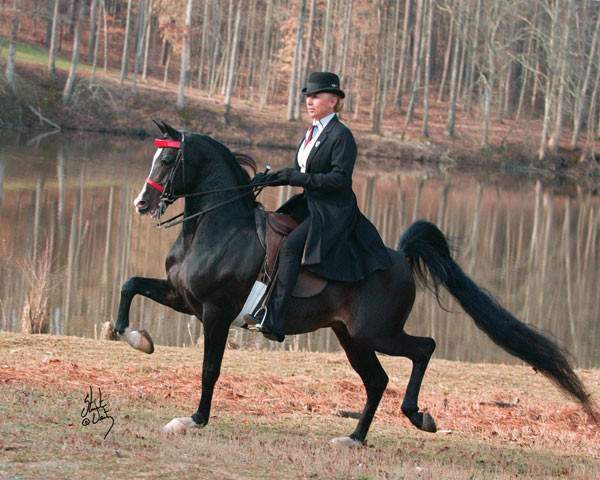 Hucks Connection V – Quality Without Question!