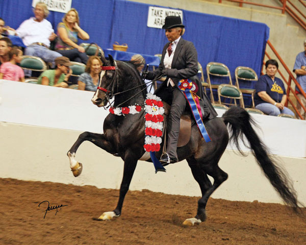 Hucks Connection V – Quality Without Question!