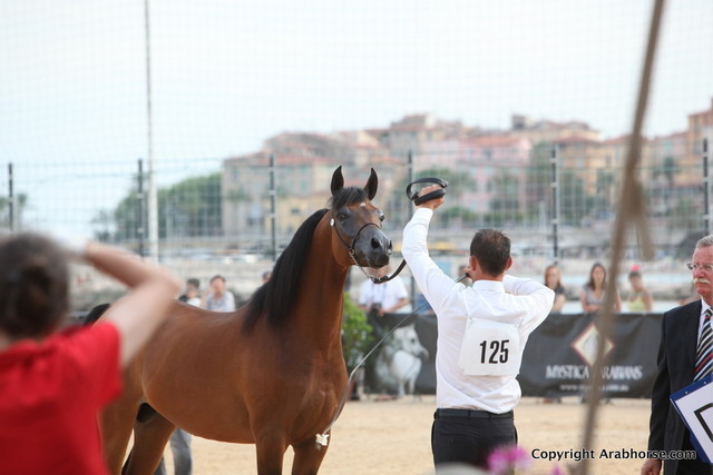 2012 Menton Arabian Horse Championships