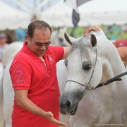 2012 Menton Arabian Horse Championships