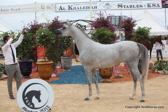 2012 Menton Arabian Horse Championships