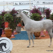 2012 Menton Arabian Horse Championships