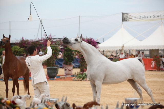 2012 Menton Arabian Horse Championships