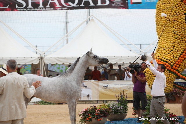 2012 Menton Arabian Horse Championships