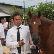 2012 Menton Arabian Horse Championships