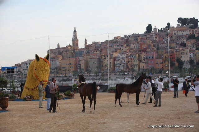 2012 Menton Arabian Horse Championships