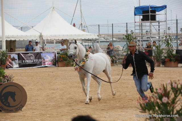 2012 Menton Arabian Horse Championships