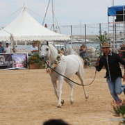 2012 Menton Arabian Horse Championships
