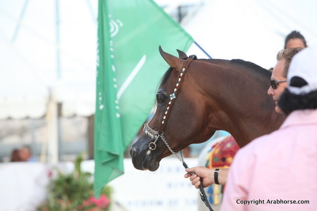2012 Menton Arabian Horse Championships