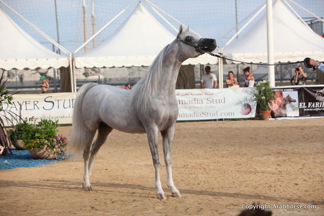 2012 Menton Arabian Horse Championships
