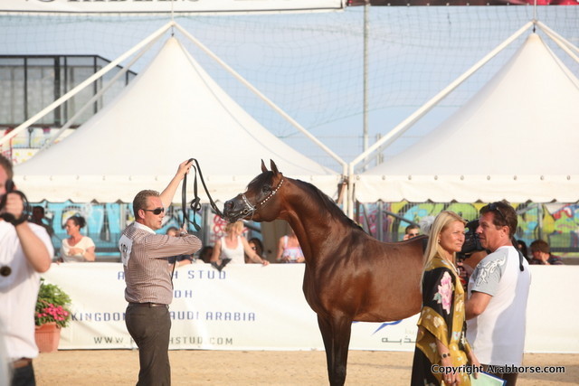 2012 Menton Arabian Horse Championships