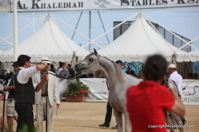 2012 Menton Arabian Horse Championships