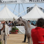 2012 Menton Arabian Horse Championships