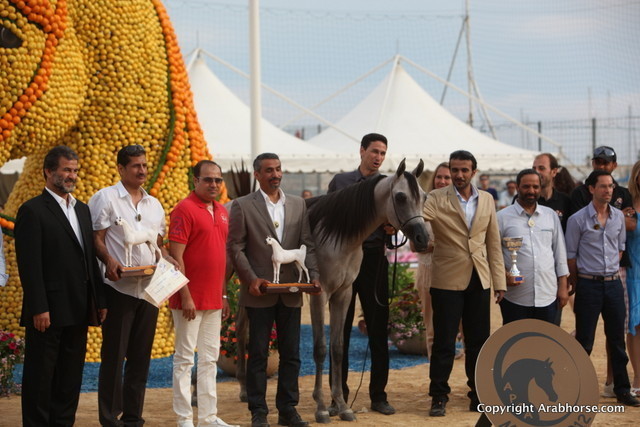 2012 Menton Arabian Horse Championships