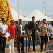 2012 Menton Arabian Horse Championships