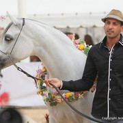 2012 Menton Arabian Horse Championships