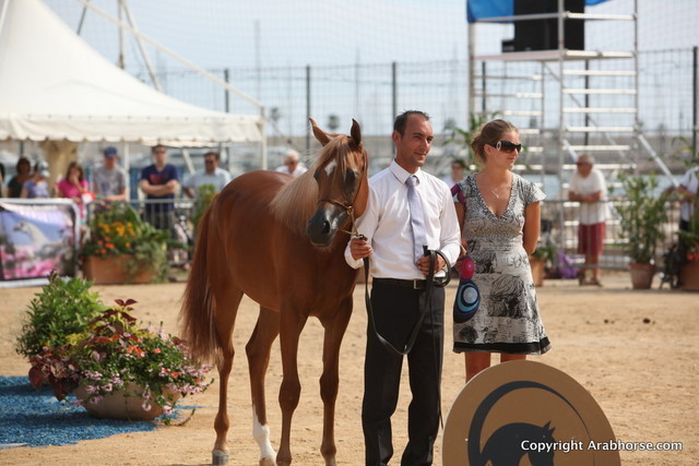 2012 Menton Arabian Horse Championships