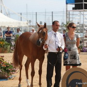 2012 Menton Arabian Horse Championships
