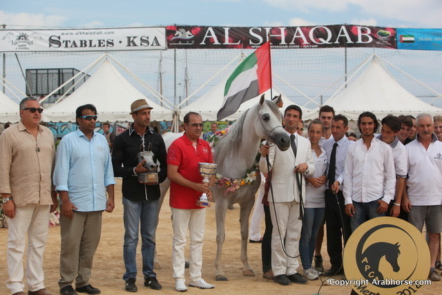 2012 Menton Arabian Horse Championships