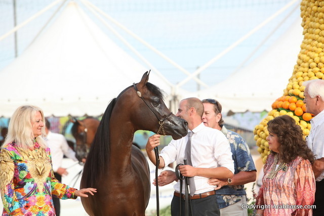 2012 Menton Arabian Horse Championships