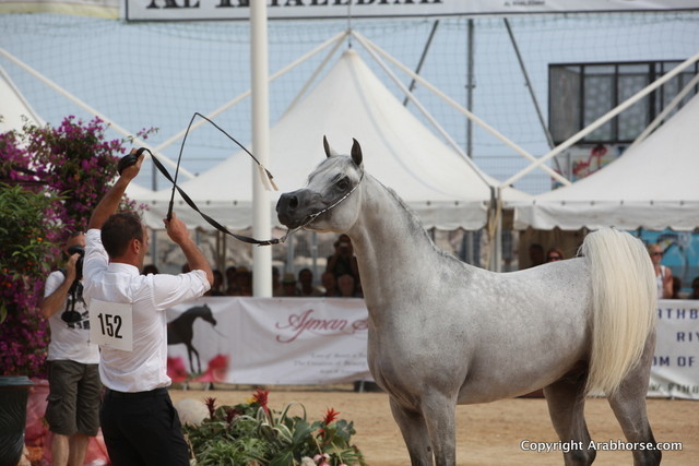 2012 Menton Arabian Horse Championships