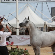 2012 Menton Arabian Horse Championships