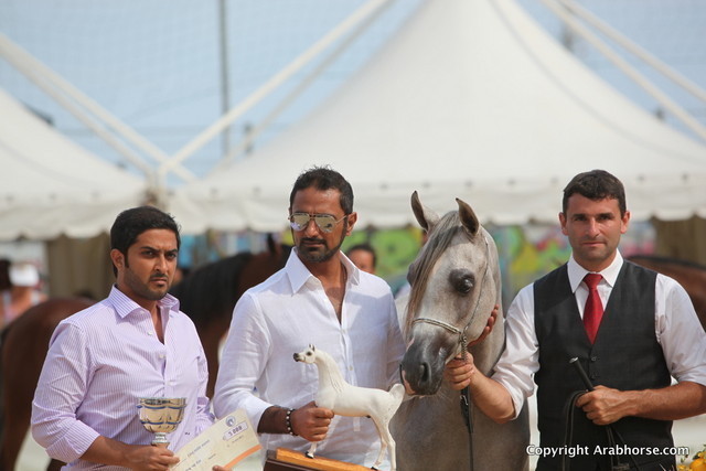 2012 Menton Arabian Horse Championships