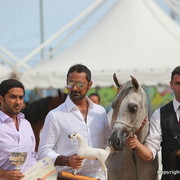 2012 Menton Arabian Horse Championships