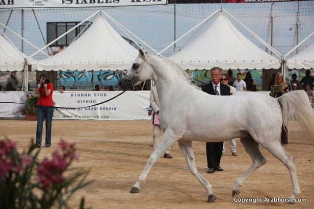 2012 Menton Arabian Horse Championships