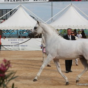 2012 Menton Arabian Horse Championships