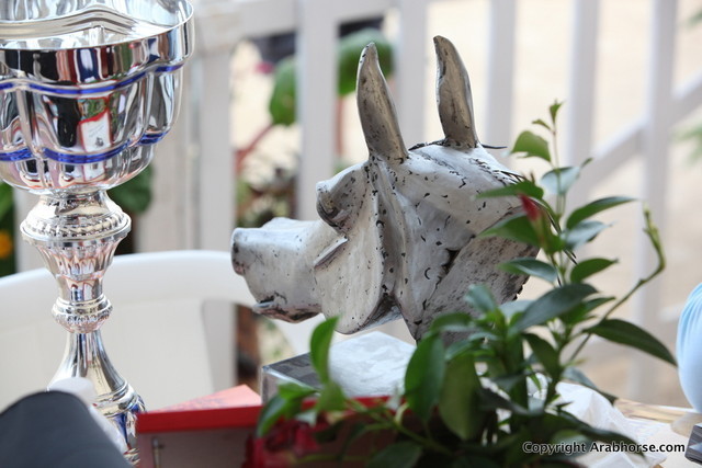 2012 Menton Arabian Horse Championships