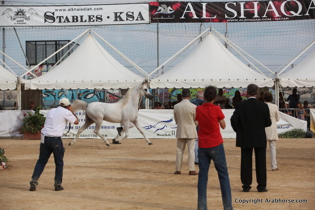 2012 Menton Arabian Horse Championships