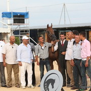 2012 Menton Arabian Horse Championships