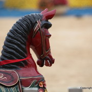 2012 Menton Arabian Horse Championships