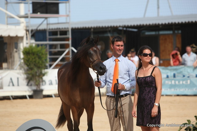 2012 Menton Arabian Horse Championships
