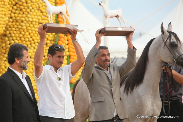 2012 Menton Arabian Horse Championships