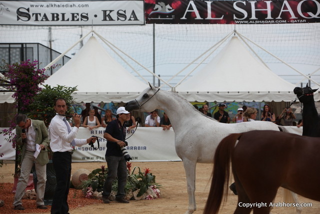 2012 Menton Arabian Horse Championships