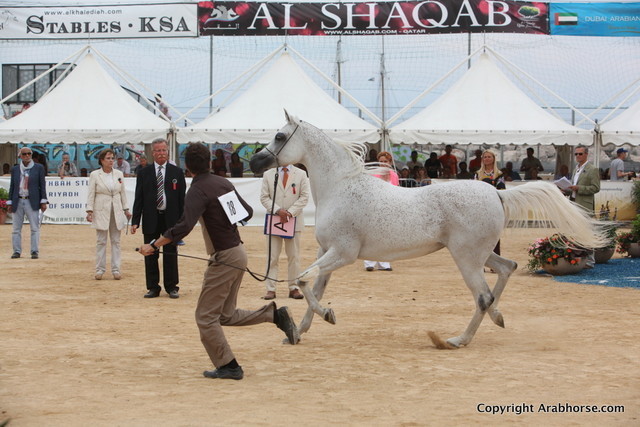 2012 Menton Arabian Horse Championships
